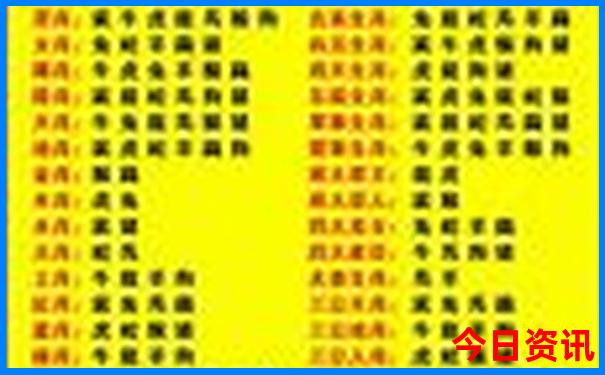 新奥全新必看天天全网首发速查资料全新领取大全-2025最新免费资料大全